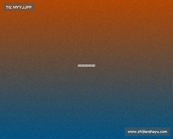 望江电子竞技协会会长简历